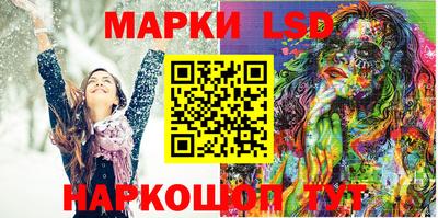стаф Краснодар