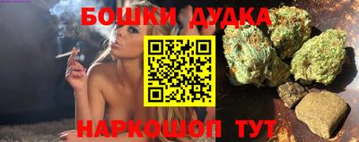 стаф Краснодар