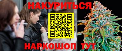 стаф Краснодар