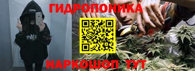 стаф Краснодар