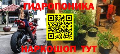 стаф Краснодар