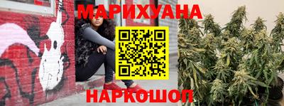 стаф Краснодар