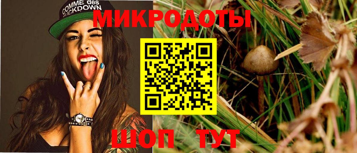 Кольчугино  Галлюциногенные грибы MAGIC MUSHROOMS  Вход с VPN 