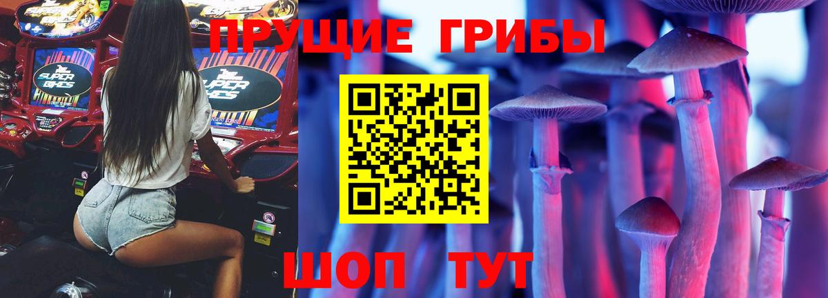 Псилоцибиновые грибы Psilocybe Кольчугино